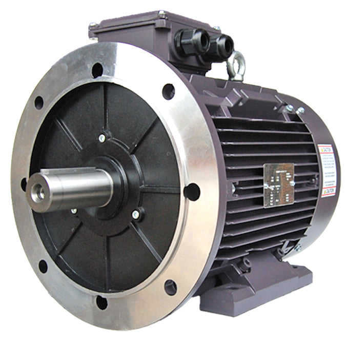 TechTop TEFC Metric GR3-AL-TF-112MB3-2-B-D-5.5 Electric Motor